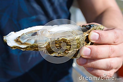 A man holds in his hands a large fresh oyster. Seafood. Tasty lunch while traveling, Ostend, Belgium. Close-up Stock Photo