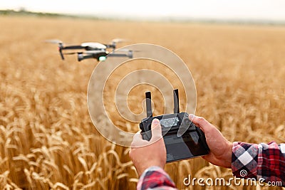 Man holds remote controller with his hands while copter is flying on background. Drone hovers behind the pilot in wheat Stock Photo