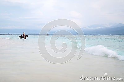 Man on horse on sea shore Editorial Stock Photo