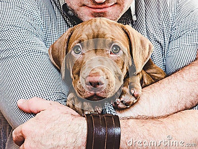 Man hugging a young, charming puppy. Close-up Stock Photo