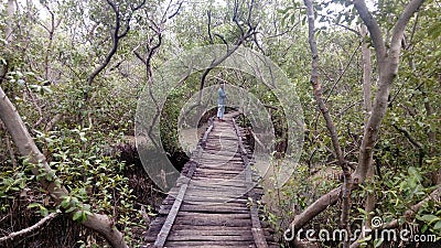 Man in the indian forest, chennai, india Editorial Stock Photo