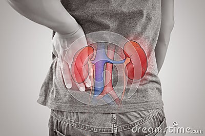 Man kidney failure, Renal failure against gray background Cartoon Illustration