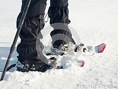 Man legs with snowshoes walk in snow. Detail of winter hike in snowdrift Stock Photo