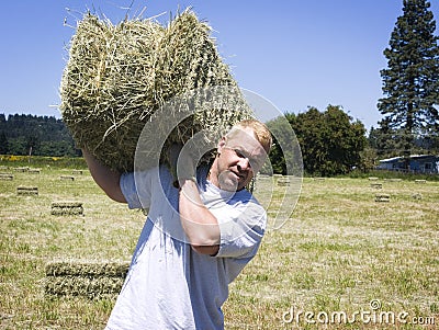 Man lifting hay bale Stock Photo