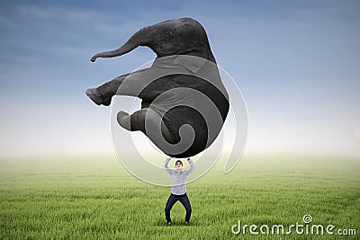 Man lifting heavy elephant Stock Photo