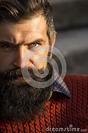 Man with long beard Stock Photo