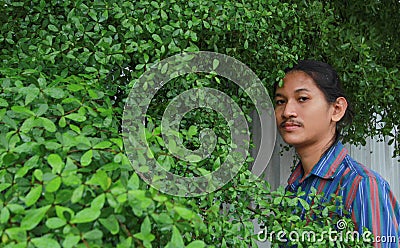 A man with a Long hair and a mustache peeking out from the bushes of Terminalia ivorensis Chev Stock Photo