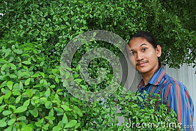 A man with a Long hair and a mustache peeking out from the bushes of Terminalia ivorensis Chev Stock Photo