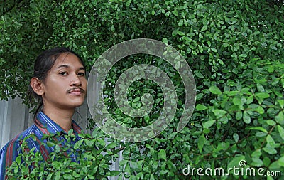 A man with a Long hair and a mustache peeking out from the bushes of Terminalia ivorensis Chev bedew Stock Photo