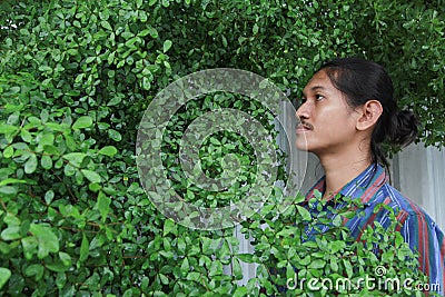 A man with a Long hair and a mustache peeking out from the bushes of Terminalia ivorensis Chev bedew Stock Photo