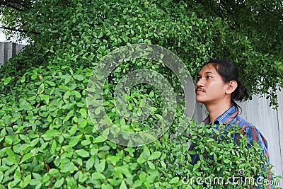 A man with a Long hair and a mustache peeking out from the bushes of Terminalia ivorensis Chev bedew Stock Photo