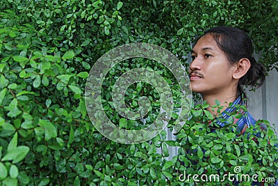 A man with a Long hair and a mustache peeking out from the bushes of Terminalia ivorensis Chev bedew Stock Photo