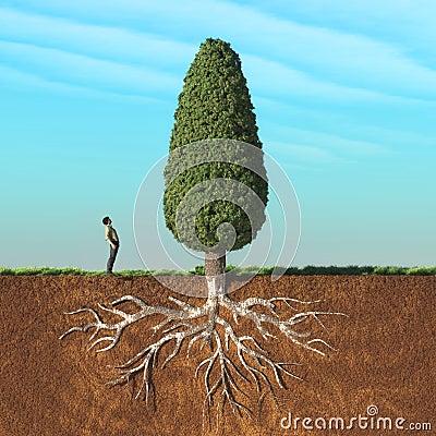 A man look up a big tree Cartoon Illustration