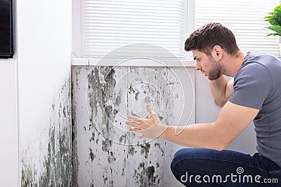Man Looking At Mold On Wall Stock Photo