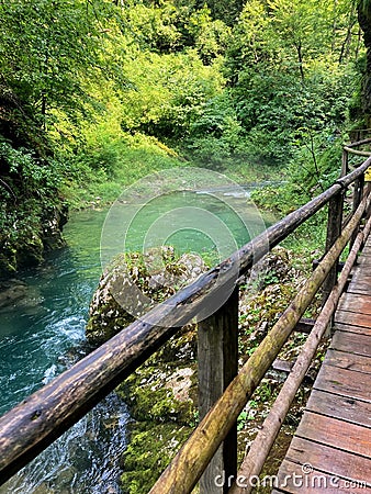 Wooden trail over the Vintgar gorge in summer in Slovenia Europe Stock Photo