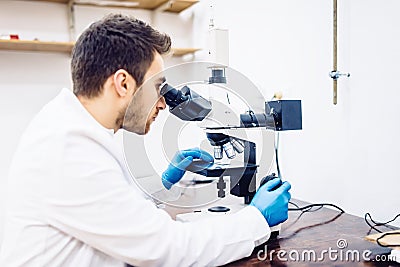 Man, male scientist, chemist working with microscope in pharmaceutical laboratory, examining samples Stock Photo