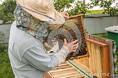 A man in a mask holds a frame from a hive Stock Photo