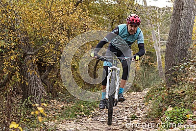 Man mountain biking in forest. Editorial Stock Photo