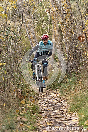 Man mountain biking in forest. Editorial Stock Photo