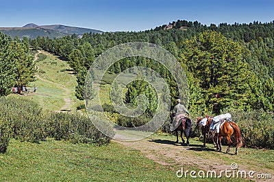 mountain guide travel on the horse with cargo at hiking tour route Editorial Stock Photo