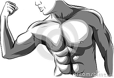 The man with the muscles. bearded, muscular jock in jeans. Posing bodybuilding. Vector Illustration