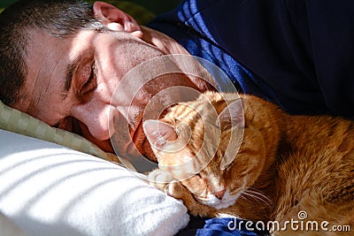 Man napping with cat Stock Photo