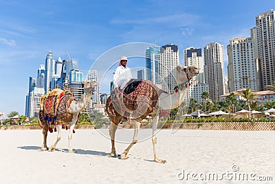 Man offering camel ride on Jumeirah beach, Dubai, United Arab Emirates. Editorial Stock Photo