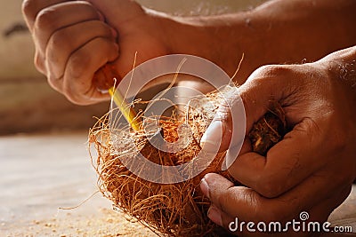 man peeling coconut Stock Photo