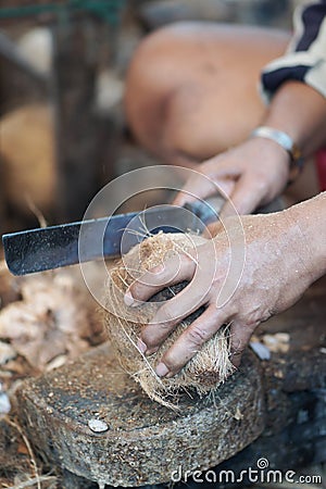 Man peeling coconut, peeling hard coconut shell with traditional method Stock Photo