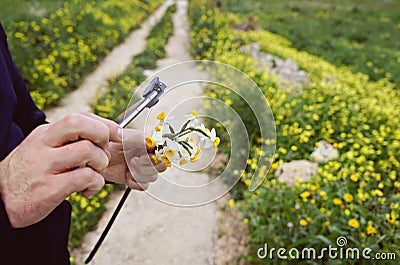 A man is photographing a bouquet of daffodils on the phone Stock Photo