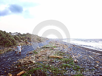 A man picking driftwood and walk by on the beach. Editorial Stock Photo