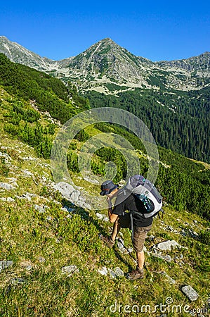 Man picking and eating blue berries Stock Photo