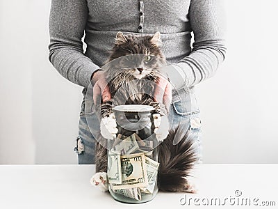 Man with a piggy bank and a cute cat Stock Photo