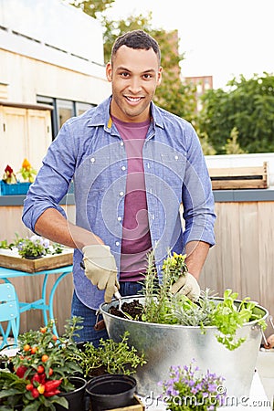 Man Planting Container On Rooftop Garden Stock Photo