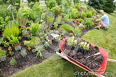 Man planting in the garden Stock Photo