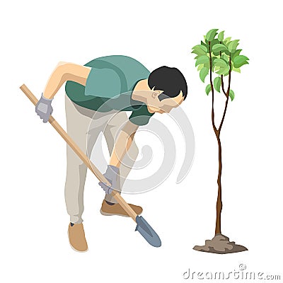 Man plants a tree. Gardener seedling plant. Vector Illustration