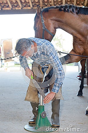 man polishing hoofs Stock Photo