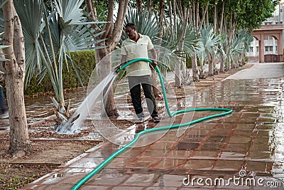 man pouring water in tree at park at evening from flat angle Editorial Stock Photo