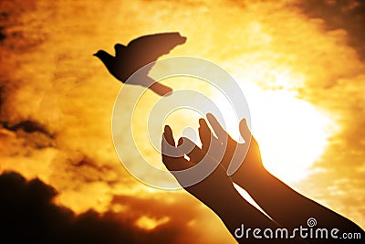 Man praying and free bird enjoying nature on sunset, Human raising hands. Worship christian religion. silhouette pigeon flying Stock Photo