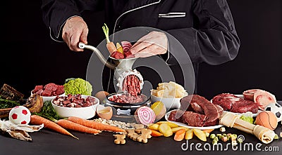 Man preparing healthy barf food for his pet dog Stock Photo