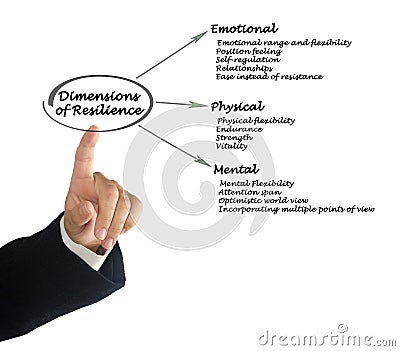 Dimensions of Resilience Stock Photo