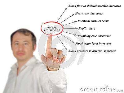 Stress Hormones Stock Photo