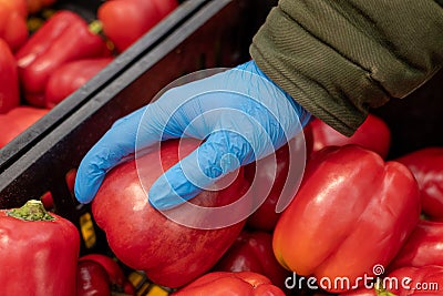 Man in protective blue gloves buys vegetables. Close-up. Red pepper in hand. Buying food during a pandemic Stock Photo