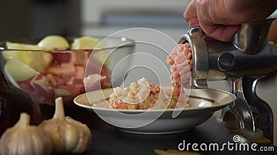 Meat and Onion Grinder