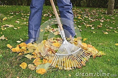 Man raking leaves in the garden Stock Photo