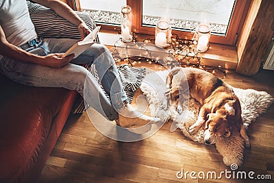 Man reading book on the cozy couch near slipping his beagle dog on sheepskin in cozy home atmosphere. Peaceful moments of cozy Stock Photo