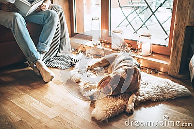 Man reading book on the cozy couch near slipping his beagle dog on sheepskin in cozy home atmosphere. Peaceful moments of cozy Stock Photo