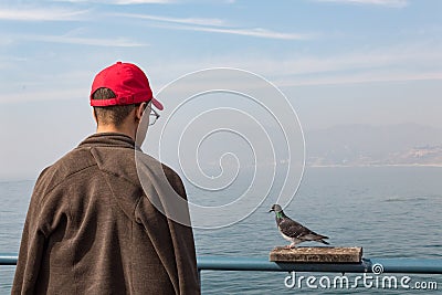 Man in a red hat looking at a pigeon sitting on a railing platform, copy spac Stock Photo