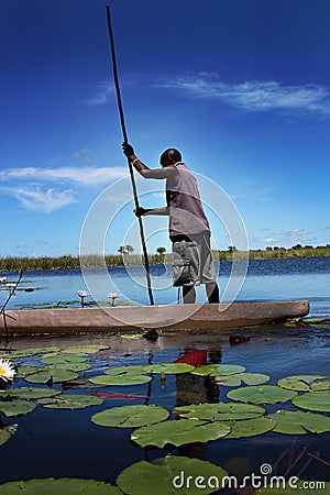 A man riding a canoa in Botswana, Africa Editorial Stock Photo