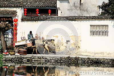 Man riding donkey cart Editorial Stock Photo